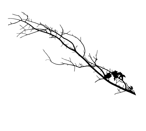 Tree Branch Silhouettes Vector Free Images 465x418 Tree Branch Silhouettes Vector Free Images