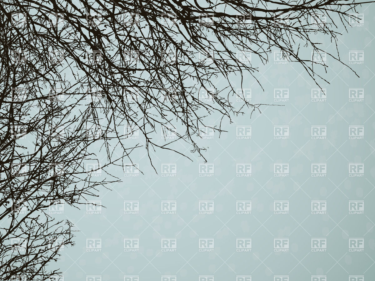 Leafless Tree Branches Vector Image Of Backgrounds, Textures 1200x900 Leafless Tree Branches Vector Image Of Backgrounds, Textures