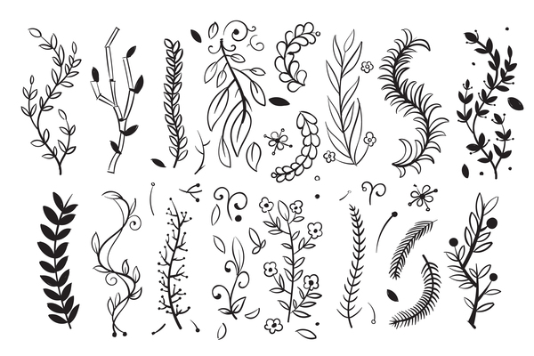 Page Tree Branch On Curated Vector Illustrations, Stock Royalty 600x400 Page Tree Branch On Curated Vector Illustrations, Stock Royalty