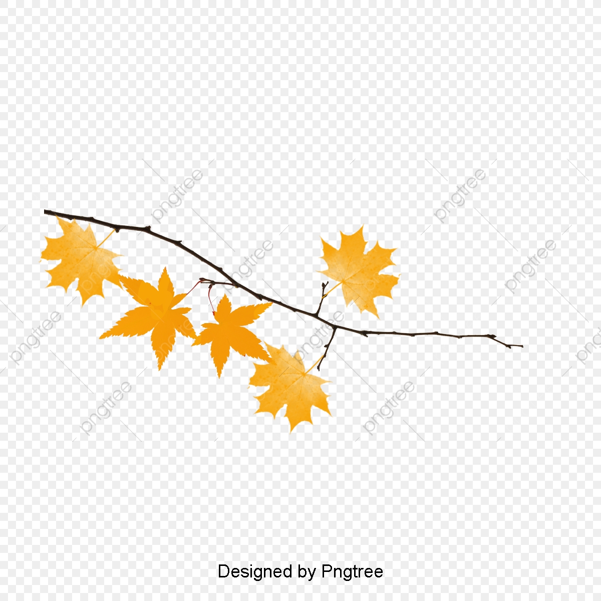Autumn Branch Vector, Png, Autumn Png Transparent Clipart 1200x1200 Autumn Branch Vector, Png, Autumn Png Transparent Clipart