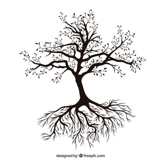 Tree Branch Vectors, Photos And Free Download 626x626 Tree Branch Vectors, Photos And Free Download