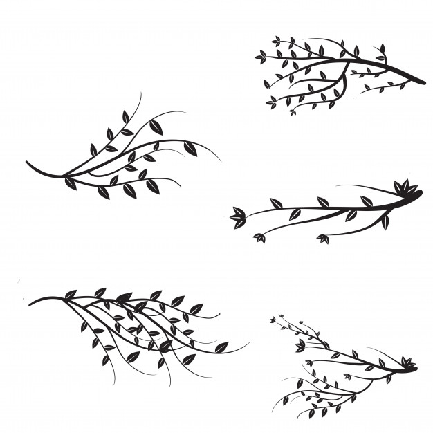 Vector Branches Collection Vector Free Download 626x626 Vector Branches Collection Vector Free Download