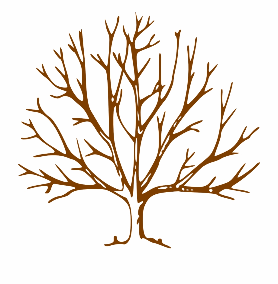 Bare Tree Clipart Free Png Images Clipart Download 920x941 Bare Tree Clipart Free Png Images Clipart Download