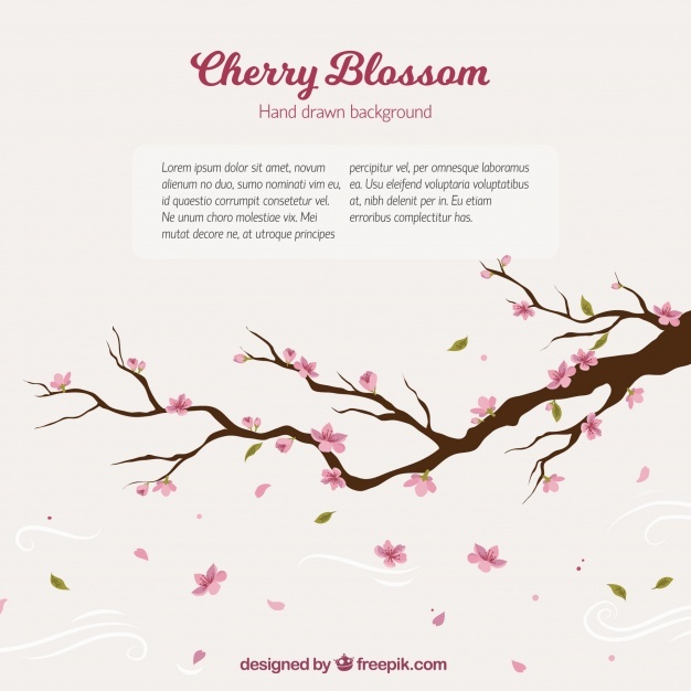 Branch Vectors, Photos And Free Download 626x626 Branch Vectors, Photos And Free Download