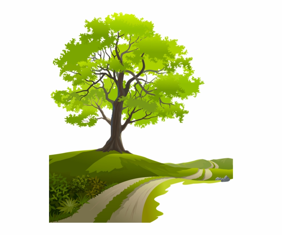920x765 Nature Vector, Tree Clipart