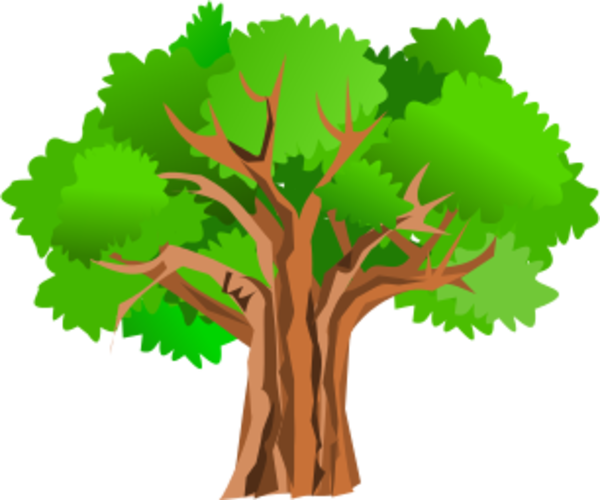 600x500 Tree Clipart Vector Clip Art