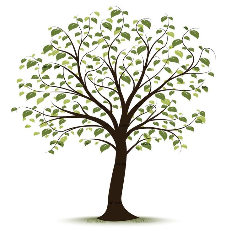 736x736 Tree Clip Art Free Clipart Tree Free Vector Design