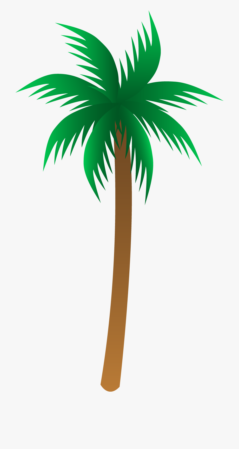 Vector Palm Tree Clip Art Palm Trees Clipart Mylocalguide 920x1722 Vector Palm Tree Clip Art Palm Trees Clipart Mylocalguide