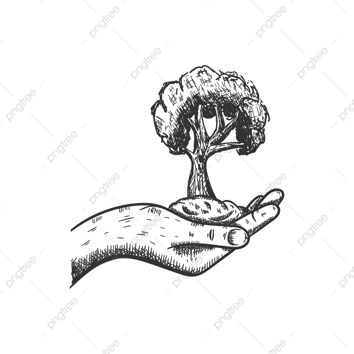 1200x1200 Hand Tree Draw Vector Illustration, Tree, Hand, Logo Png