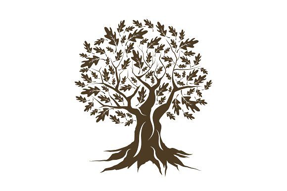 580x386 Vector Oak Tree Silhouette