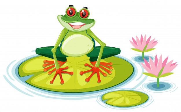 626x388 A Red Eyed Tree Frog On Lily Pad Vector Premium Download