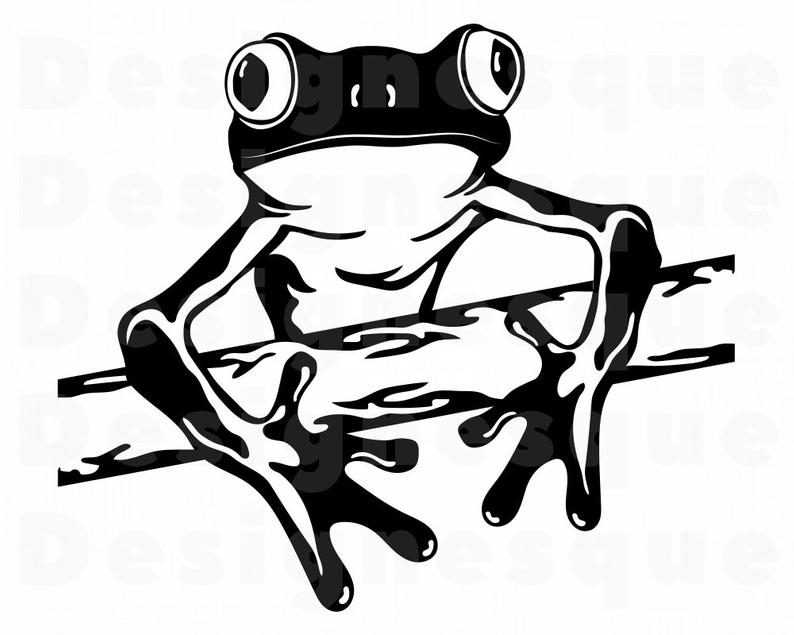Tree Frog Vector at Vectorified.com | Collection of Tree ...