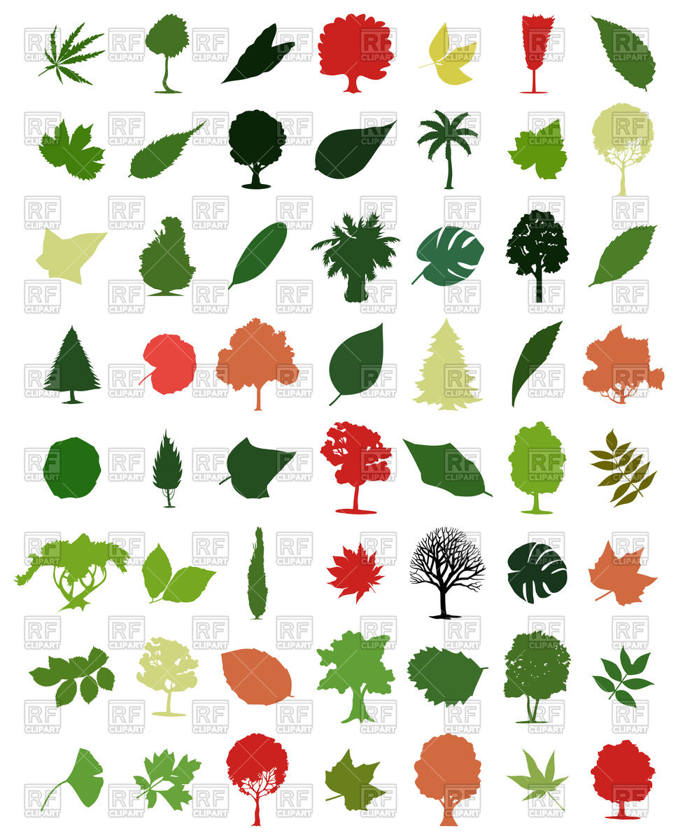 969x1200 Set Of Trees And Leaves Icons Vector Image Of Plants And Animals