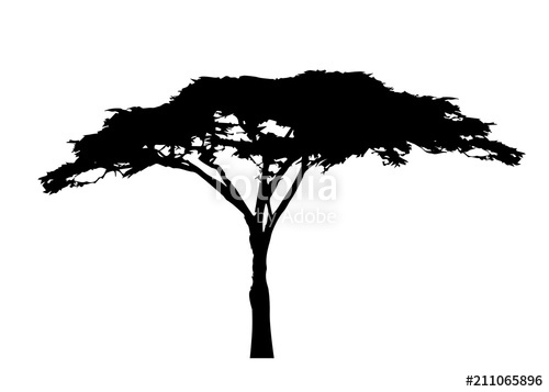 500x357 African Tree Icon, Acacia Tree Silhouette, Vector Isolated Stock
