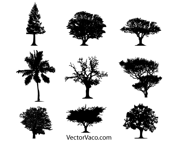 600x485 Free Tree Silhouette Vector Free Download Files, Vectors