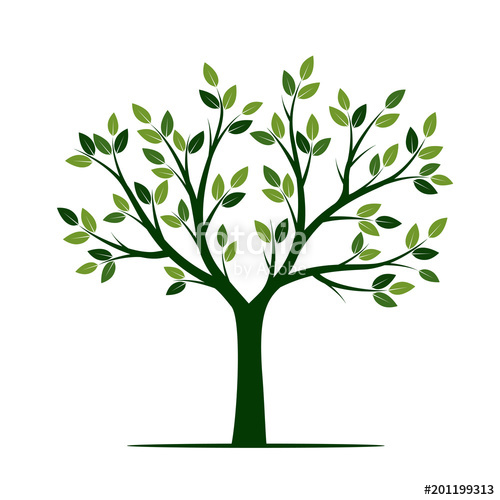 Green Tree Vector Illustration Stock Image And Royalty Free 500x500 Green Tree Vector Illustration Stock Image And Royalty Free