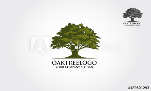 Oak Tree Logo Illustration Vector Silhouette Of A Tree 500x300 Oak Tree Logo Illustration Vector Silhouette Of A Tree