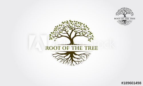 Root Of The Tree Logo Illustration Vector Silhouette Of A Tree 500x300 Root Of The Tree Logo Illustration Vector Silhouette Of A Tree