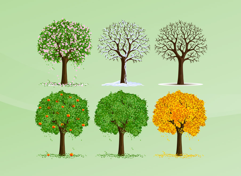 Seasons Vector Trees 1024x750 Seasons Vector Trees