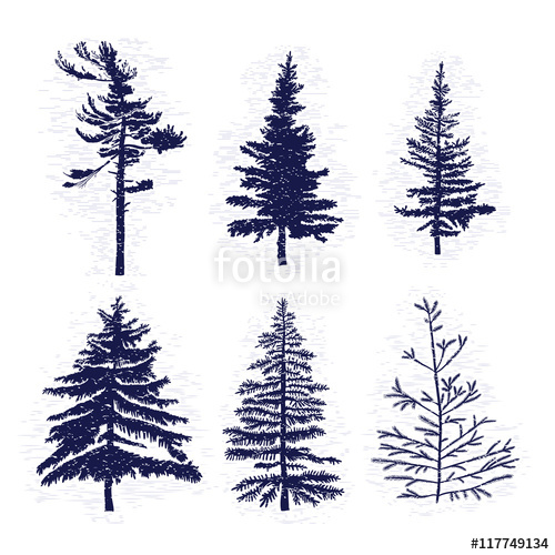 Set Of Hand Drawn Textured Fir Tree Vector Illustration 500x500 Set Of Hand Drawn Textured Fir Tree Vector Illustration