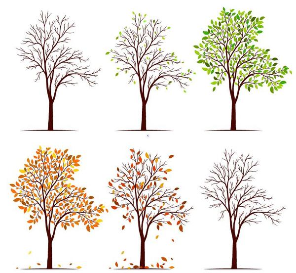 Tree Illustration Vector at Vectorified.com | Collection of Tree ...