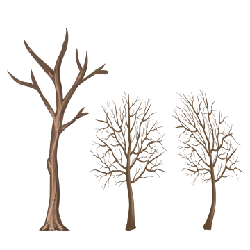 Tree Vector, Graphic Resources For Free Download 360x360 Tree Vector, Graphic Resources For Free Download
