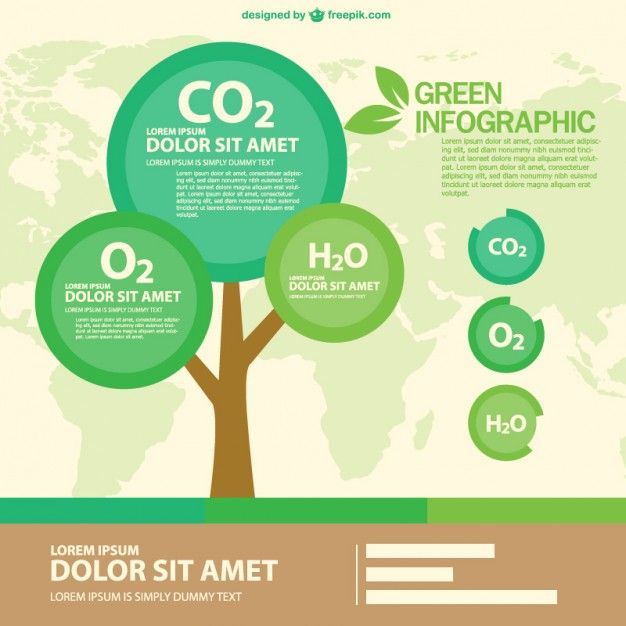 Image Result For Flat Tree Design Druid Forest App Free 626x626 Image Result For Flat Tree Design Druid Forest App Free