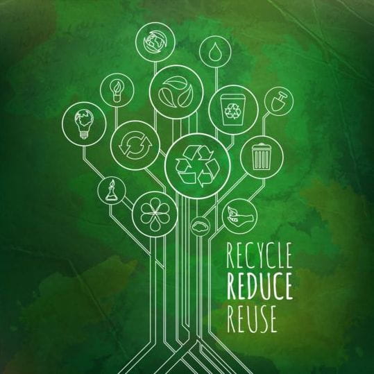 Tree Shape Eco Infographic Vector Free Graphics Uihere 539x539 Tree Shape Eco Infographic Vector Free Graphics Uihere