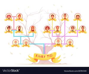 X Men Family Tree Infographic Family Tree Infographic Vector 300x249 X Men Family Tree Infographic Family Tree Infographic Vector