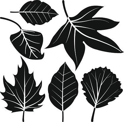 Leaves Vector Silhouette Stock Vectors 420x412 Leaves Vector Silhouette Stock Vectors
