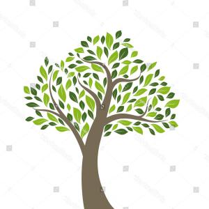 Stock Vector Green Palm Tree Leaves Vector Seamless Pattern Nature 300x300 Stock Vector Green Palm Tree Leaves Vector Seamless Pattern Nature