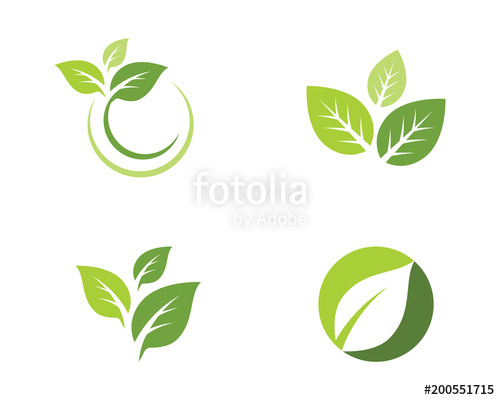 Tree Leaf Vector Icon Template Stock Image And Royalty Free 500x400 Tree Leaf Vector Icon Template Stock Image And Royalty Free