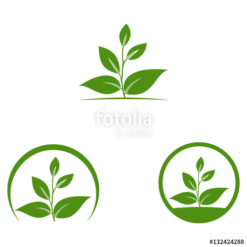 Oak, Tree, Leaf Vector Logo Design Stock Image And Royalty Free 500x500 Oak, Tree, Leaf Vector Logo Design Stock Image And Royalty Free