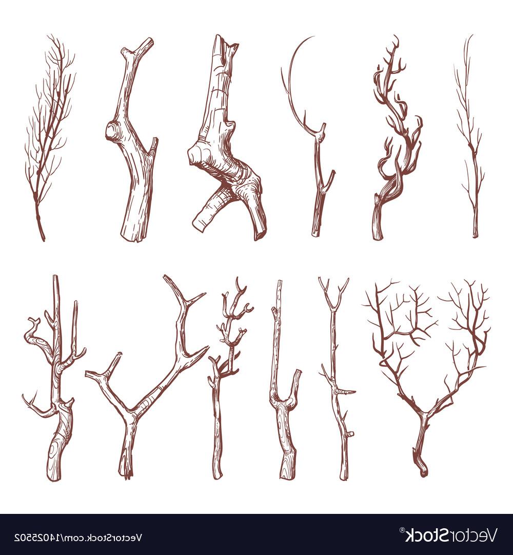 Ideas For Tree Branch Vector Art Koolgadgetz 1000x1080 Ideas For Tree Branch Vector Art Koolgadgetz