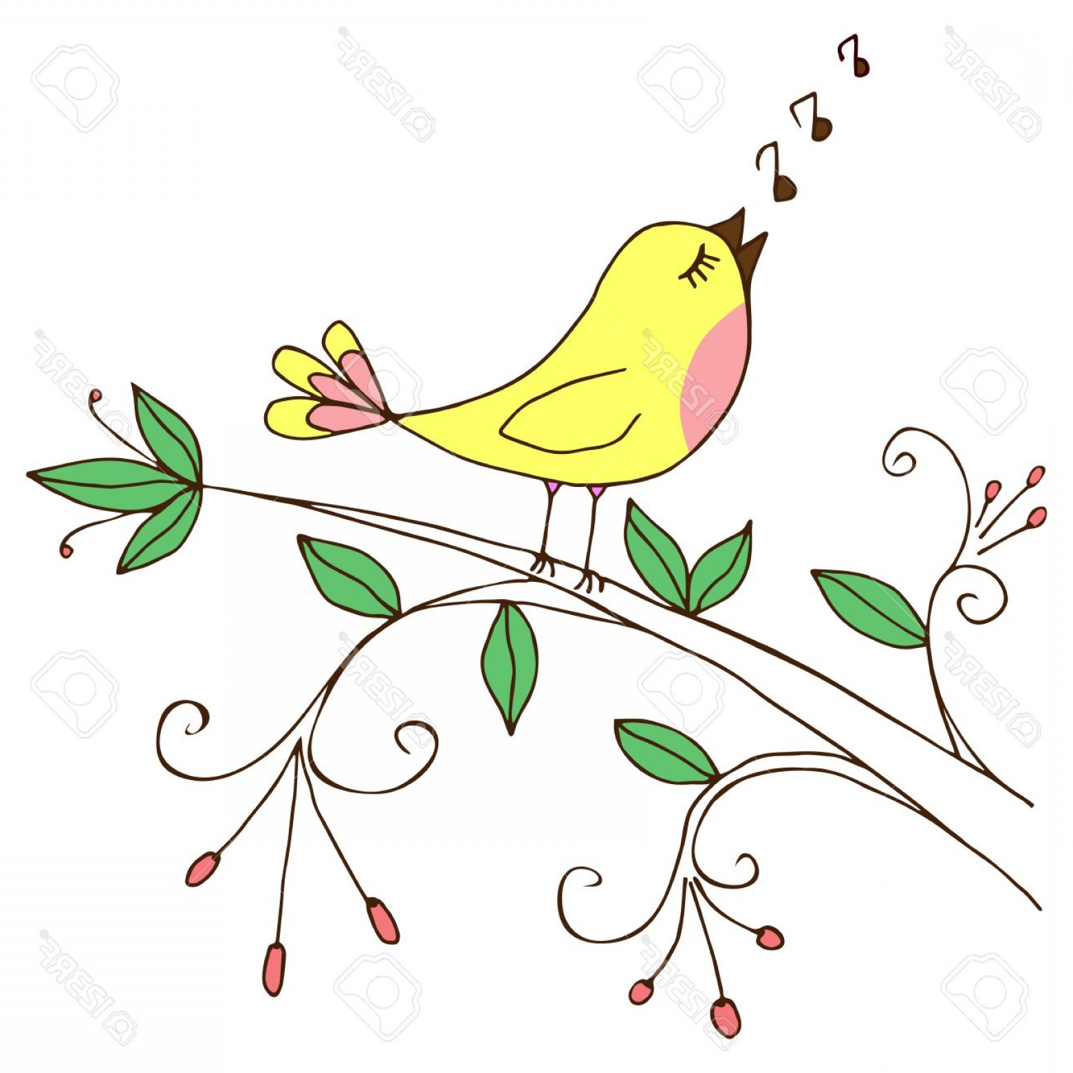 Photostock Vector Background With Bird Singing On A Tree Branch 1560x1560 Photostock Vector Background With Bird Singing On A Tree Branch