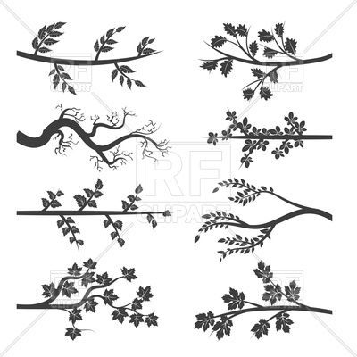 Tree Branches With Leaves 400x400 Tree Branches With Leaves