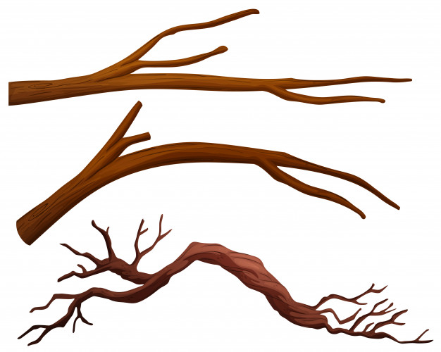 A Set Of Tree Branch Vector Free Download 626x500 A Set Of Tree Branch Vector Free Download