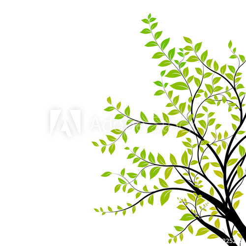 Tree Branch Vector 500x500 Tree Branch Vector