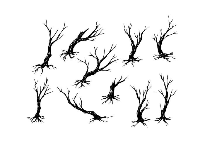 Branches Free Vector Art 700x490 Branches Free Vector Art