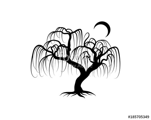 500x400 Line Art Black Willow Tree With Moon Hand Drawing Logo Silhouette