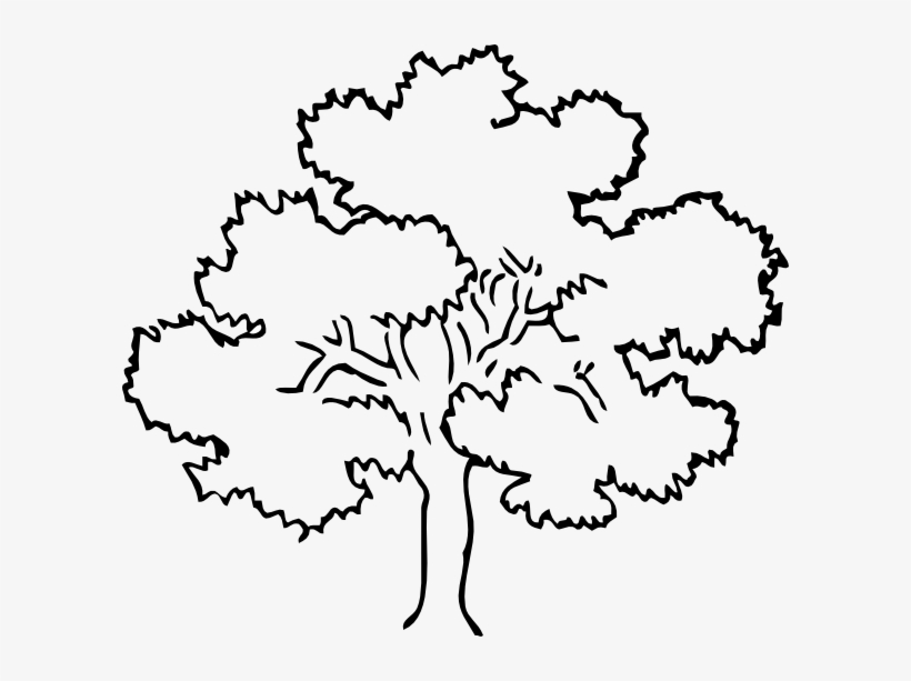820x613 Oak Tree Clip Art At Clker Com Vector Clip Art Online