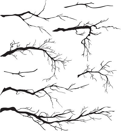 399x432 An Assortment Of Bare Tree Isolated Branches Silhouettes Vector
