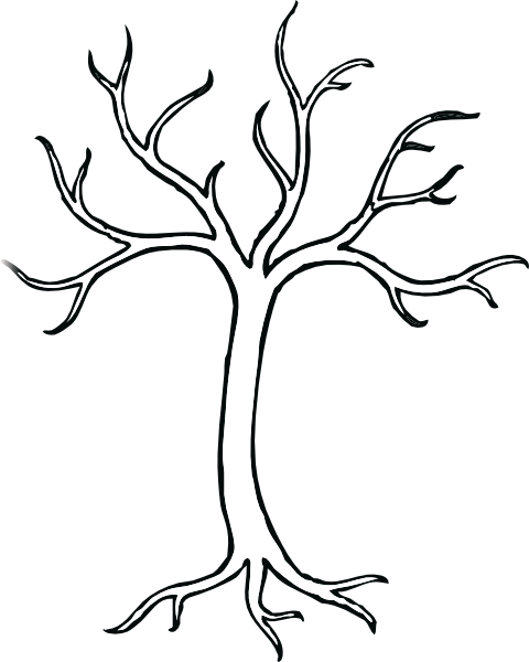 480x600 Coloring Bare Tree Clip Art