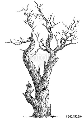 354x500 Dead Tree Illustration, Drawing, Engraving, Ink, Line Art, Vector