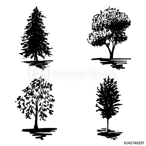 Monochrome Tree Silhouette Sketched Line Art Set Isolated Vector 500x500 Monochrome Tree Silhouette Sketched Line Art Set Isolated Vector