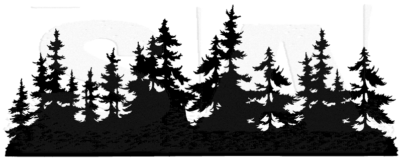Tattoo's Tree Silhouette Tattoo, Forest 800x318 Tattoo's Tree Silhouette Tattoo, Forest