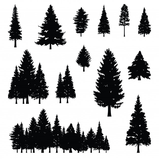 Free Free 158 Mountain Pine Tree Svg SVG PNG EPS DXF File