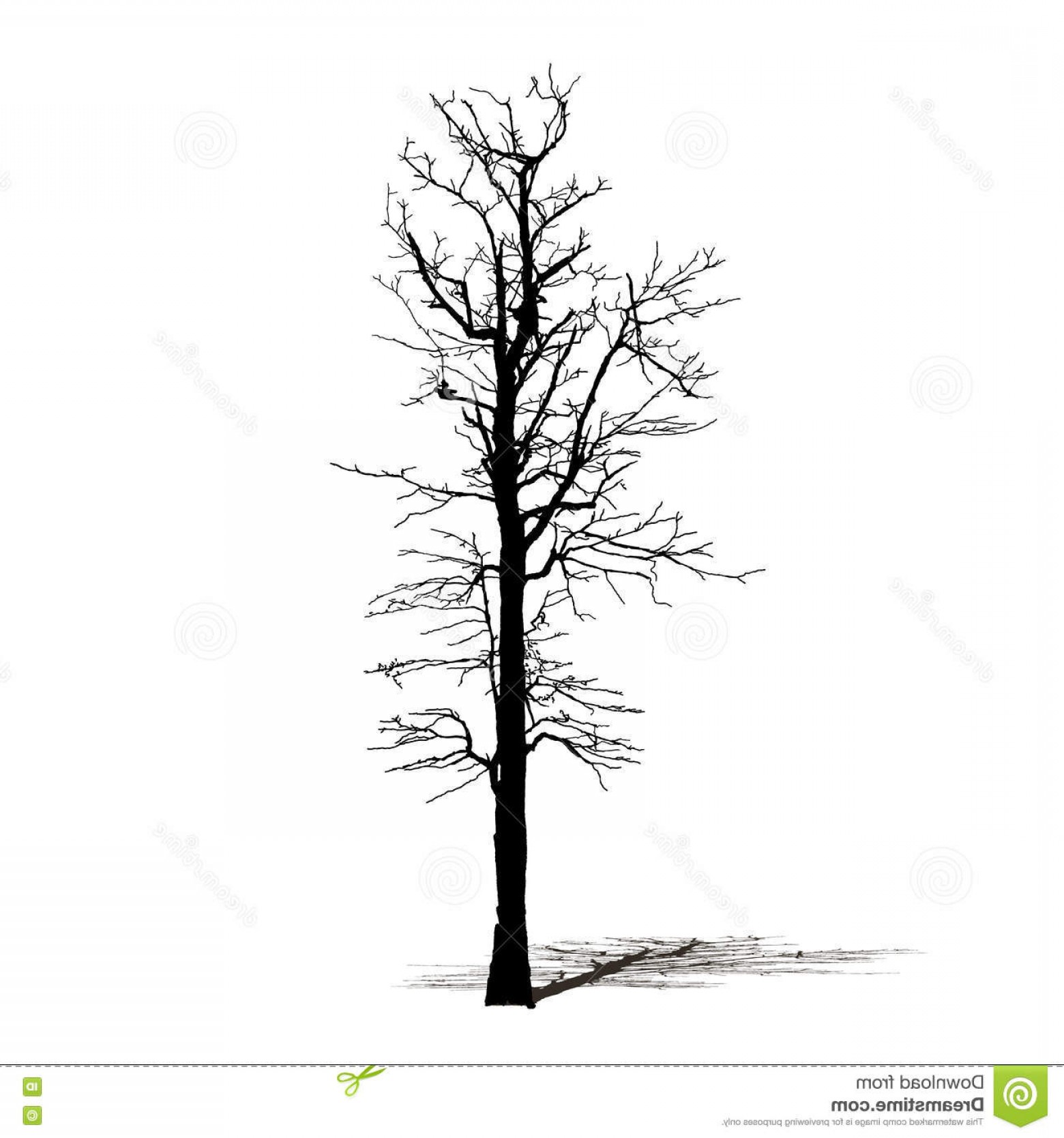 Stock Illustration Silhouette Black Dead Tree Natural Plant Sign 1560x1668 Stock Illustration Silhouette Black Dead Tree Natural Plant Sign