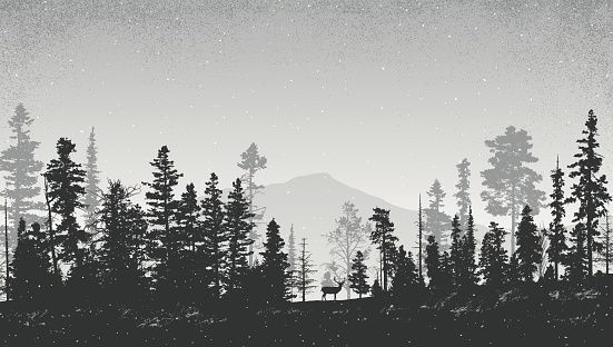 Tree Tattoo 551x312 Tree Tattoo