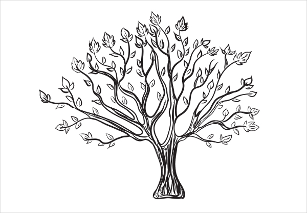600x417 Tree Vectors